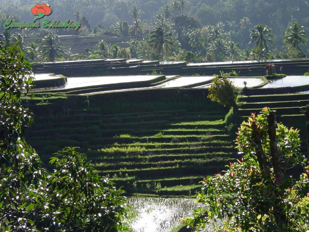 Cempaka Belimbing Villa Blimbing  Ngoại thất bức ảnh