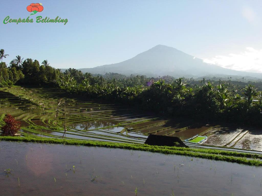 Cempaka Belimbing Villa Blimbing  Ngoại thất bức ảnh