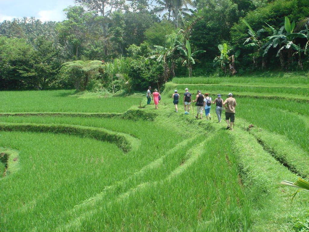 Cempaka Belimbing Villa Blimbing  Ngoại thất bức ảnh
