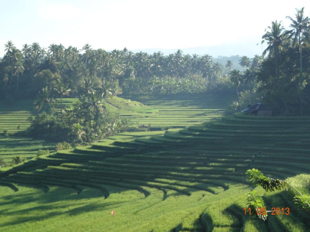 Cempaka Belimbing Villa Blimbing  Ngoại thất bức ảnh