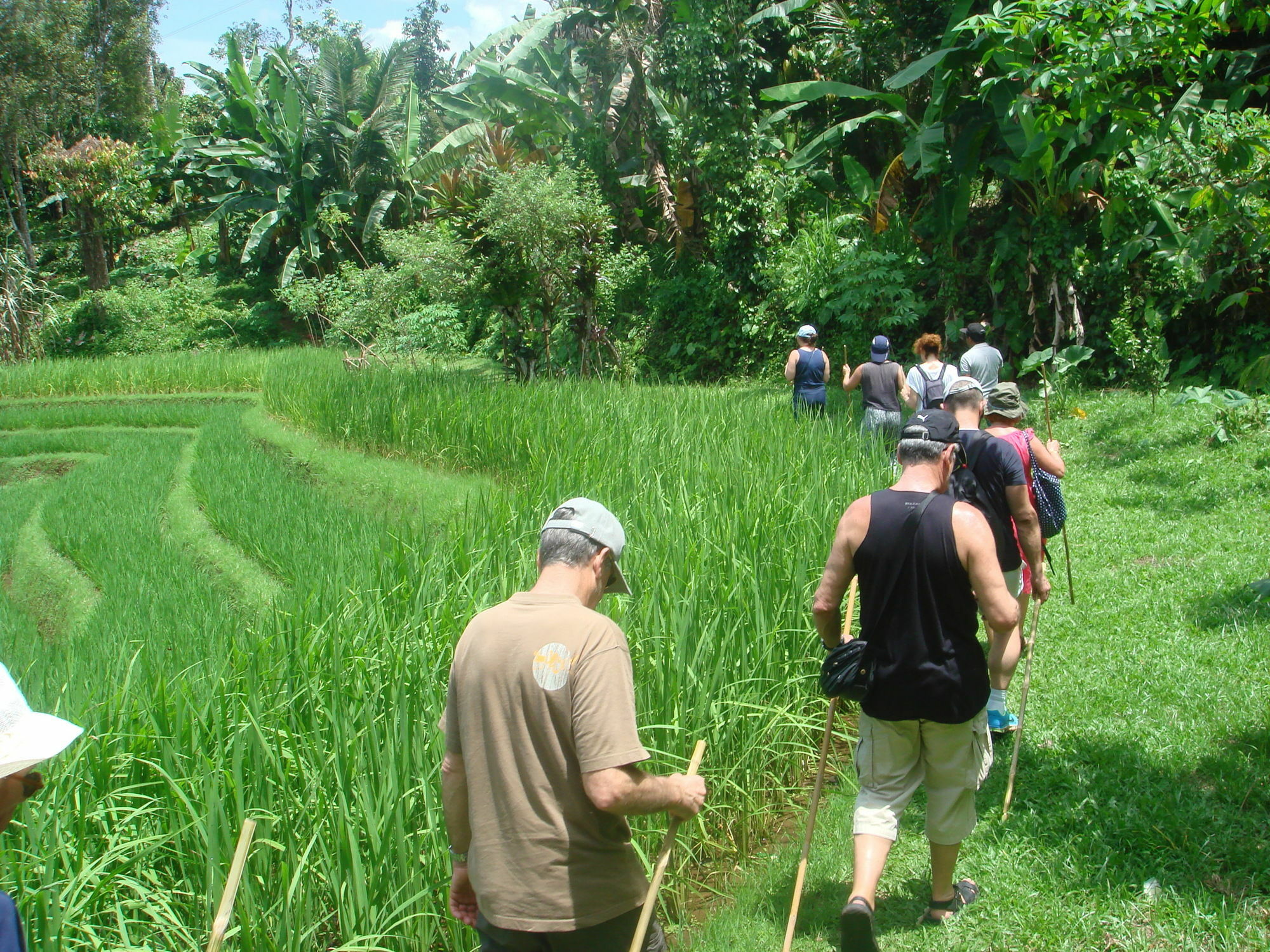 Cempaka Belimbing Villa Blimbing  Ngoại thất bức ảnh